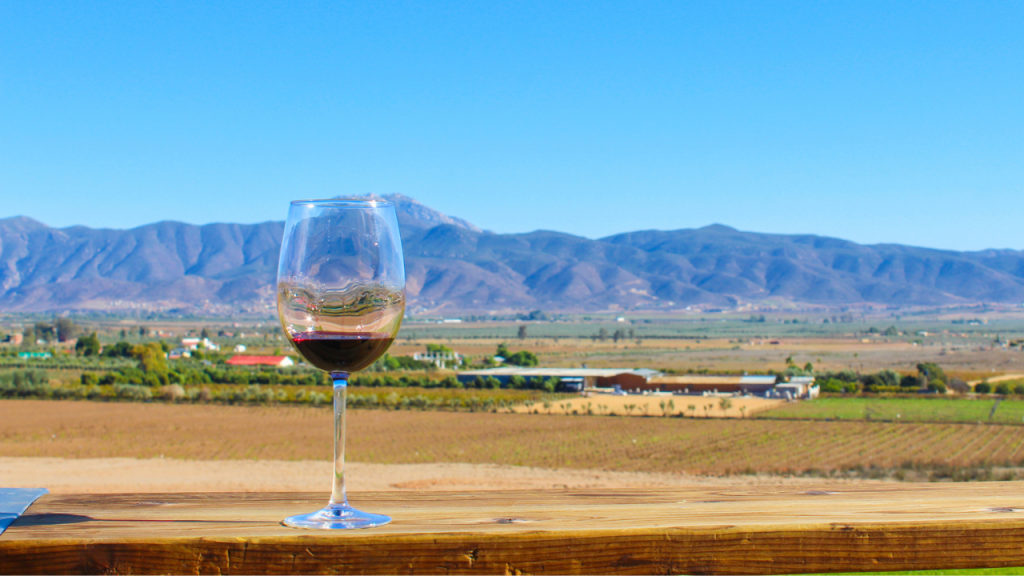 El Valle de Guadalupe es la región vitivinícola más reconocida de México.