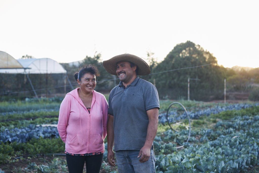 Arca Tierra en las chinampas de Xochimilco. Foto: Cortesía Baldío.