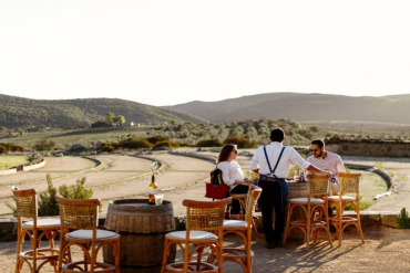 Villa Torél – La excelencia de los vinos y la gastronomía del Valle de Guadalupe.