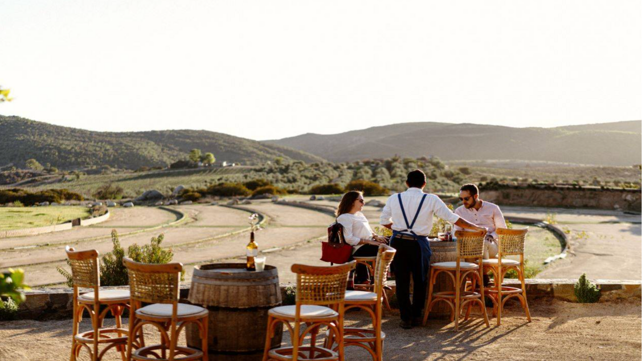 Villa Torél – La excelencia de los vinos y la gastronomía del Valle de Guadalupe.