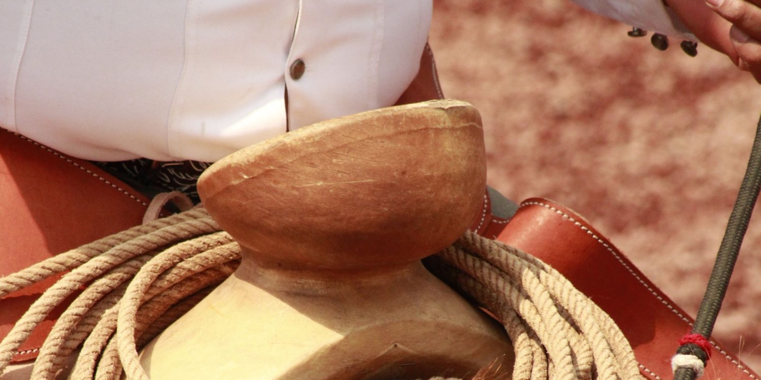 Día Nacional del Charro
