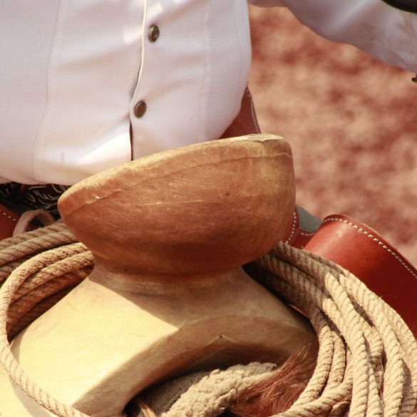 Día Nacional del Charro