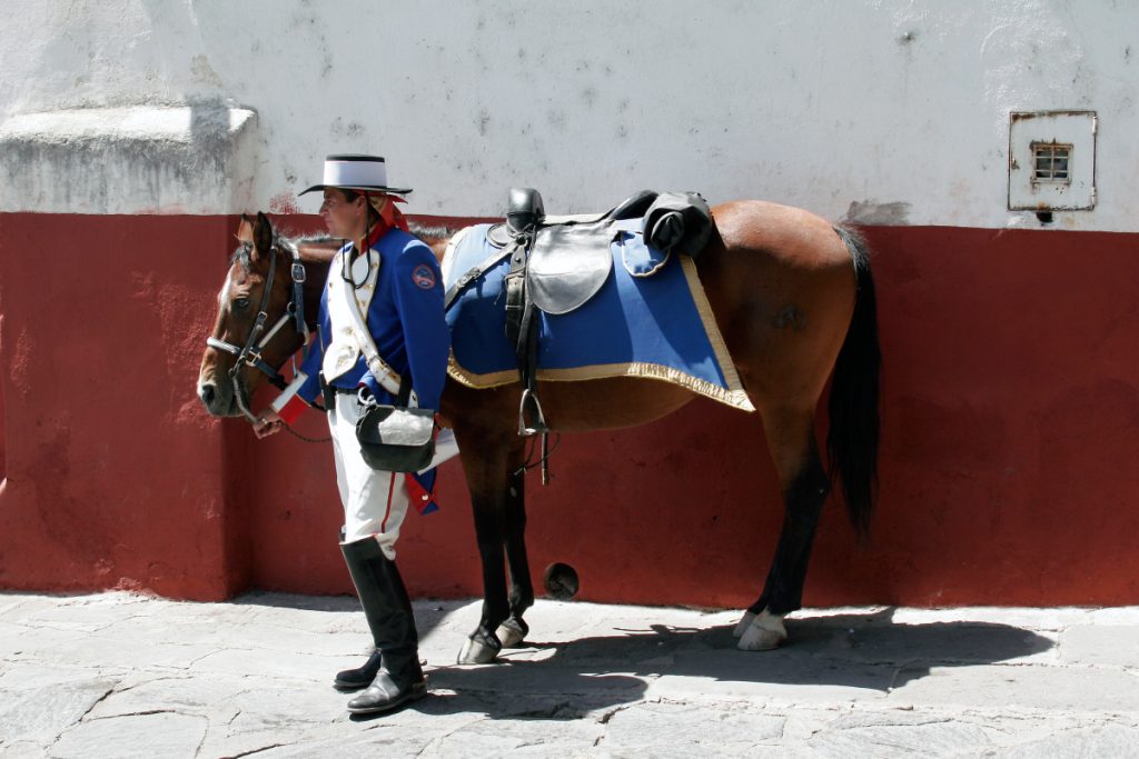 Dragones de San Miguel de Allende