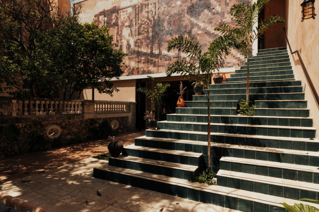 Cigno Mejorada
